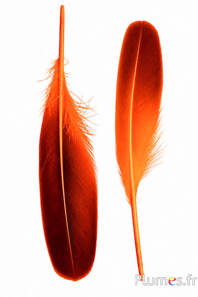 Ente - 18-20 cm, links und rechts - orange-schwarz 